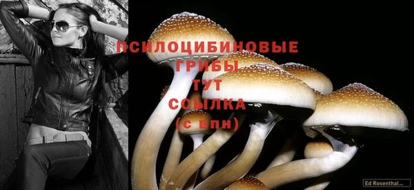 скорость Переславль-Залесский