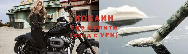 прущие крисы Пересвет