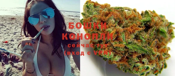 прущие крисы Пересвет