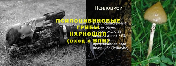 крисы Пестово