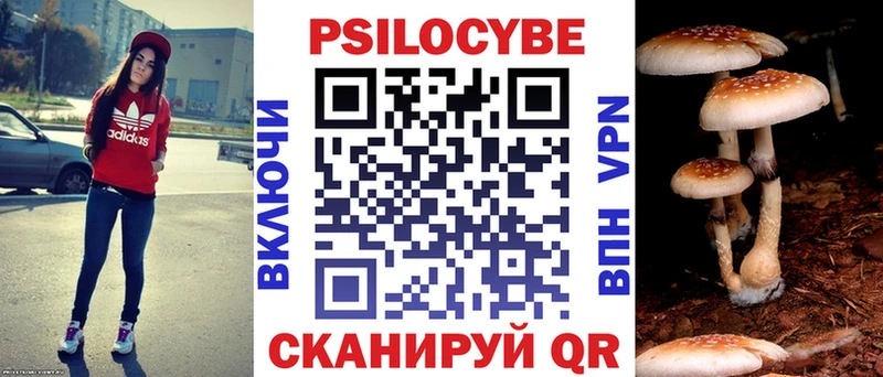 купить закладку  kraken зеркало  Псилоцибиновые грибы Magic Shrooms  Арамиль 